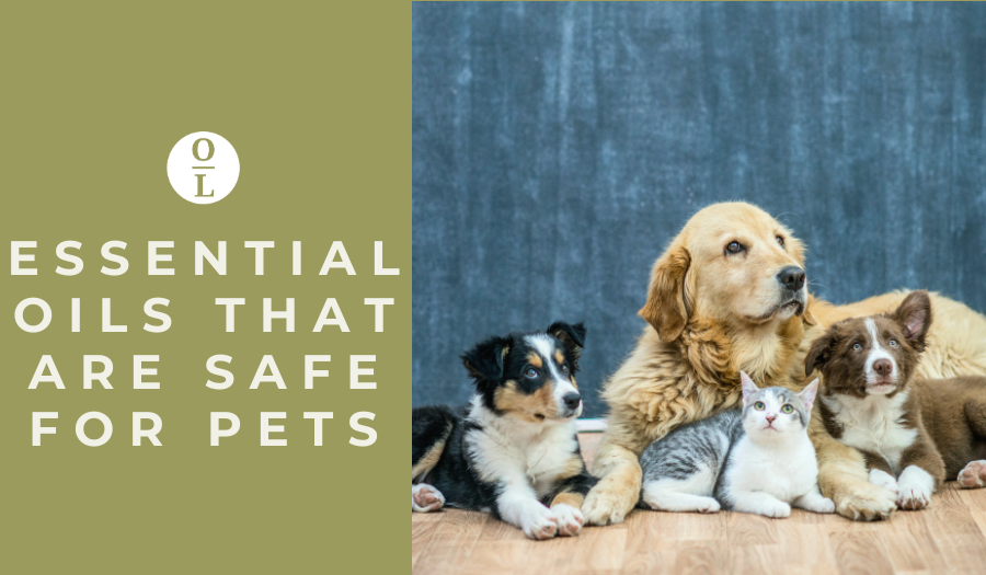 what essential oils are safe for pets